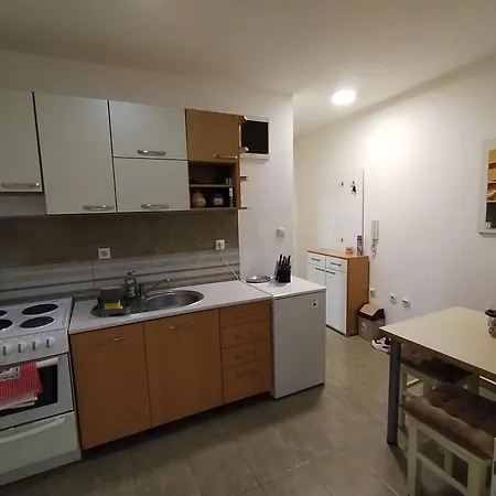 Gajic لوزنيكا