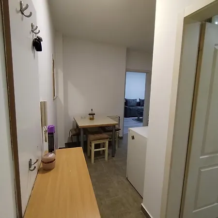 Gajic لوزنيكا