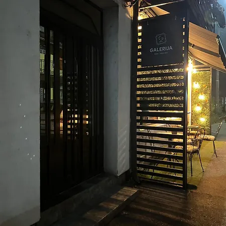 Gajic لوزنيكا