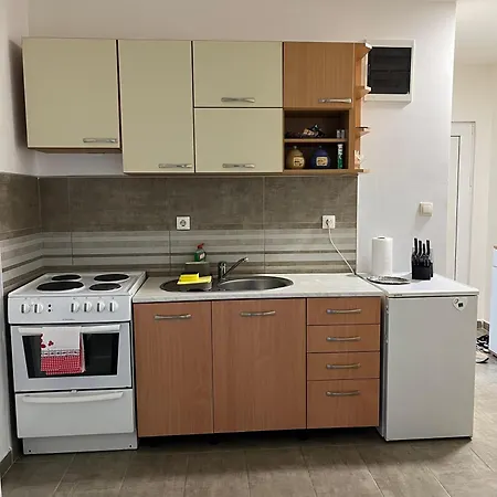 Gajic شقة لوزنيكا