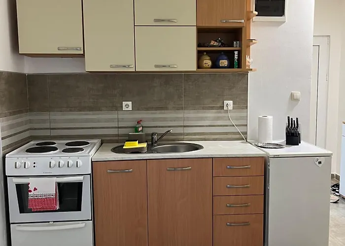 Gajic 아파트 로즈니차